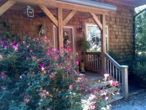 cedar shakes shingles-Siding Western Red Cedar-Cedar Siding, What are the Basics on Red Cedar Shakes and Red Cedar Shingle, our blog